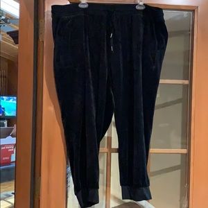 Torrid velvet capris